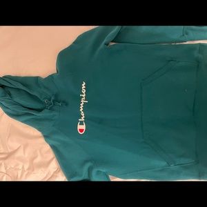 blue champion hoodie